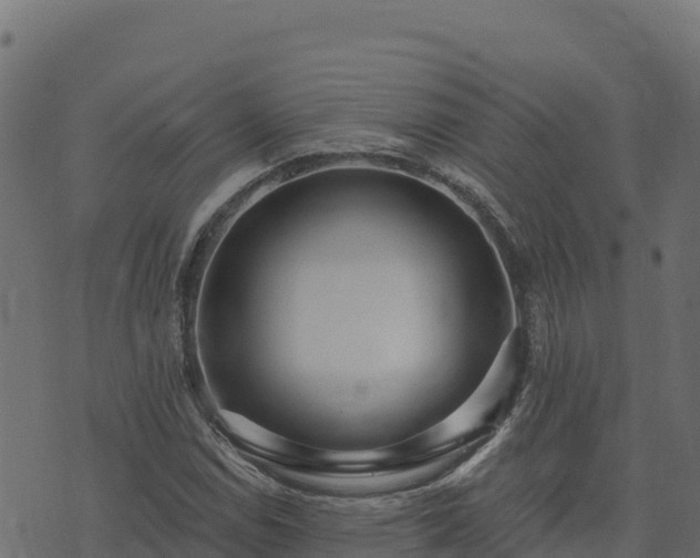 X0000073931114200608181107