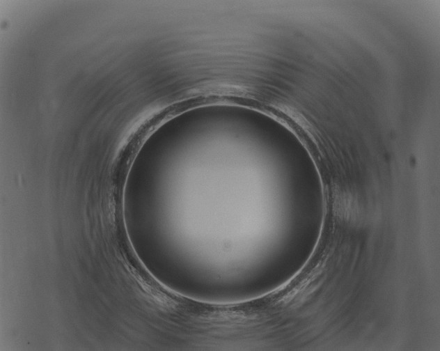 X0000073931115200608181107