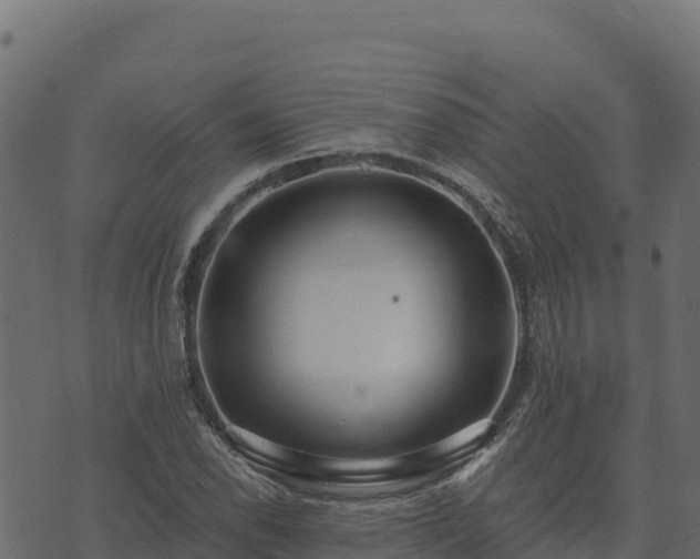 X0000073931118200608181107