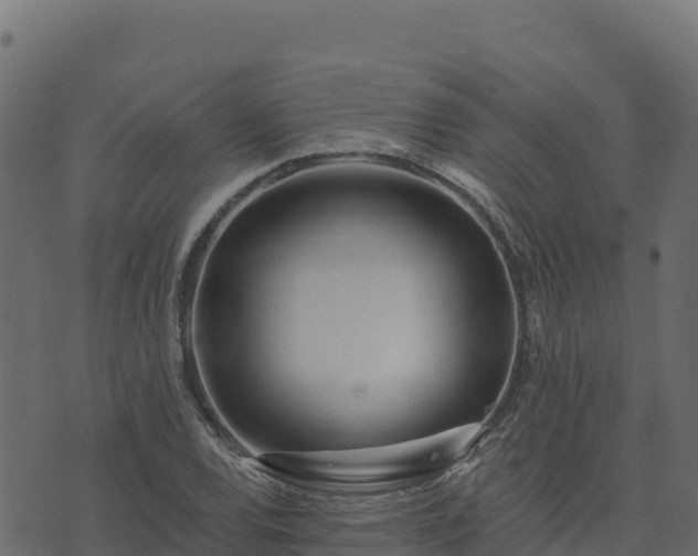 X0000073931120200608181107