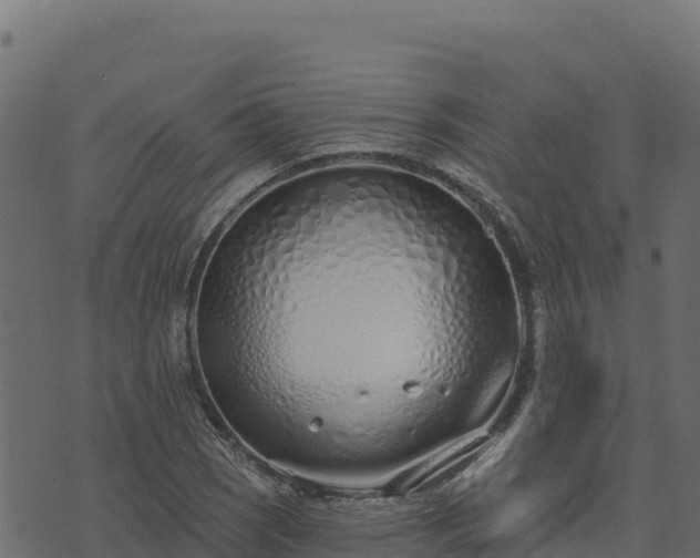 X0000073931121200608181107