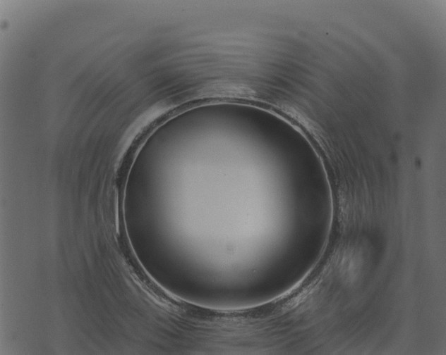 X0000073931123200608181107