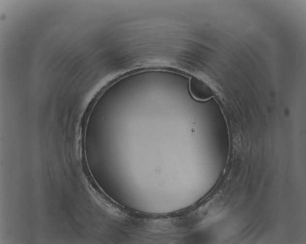 X0000073931126200608181107