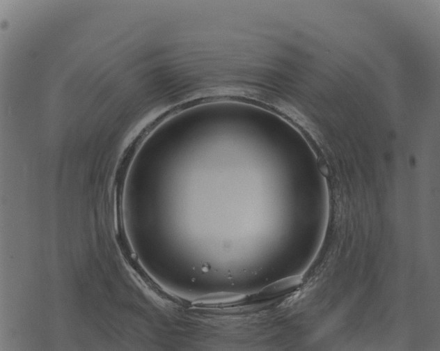 X0000073931127200608181107