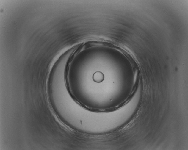 X0000073931128200608181107