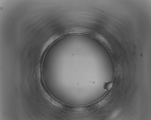 X0000073931130200608181107