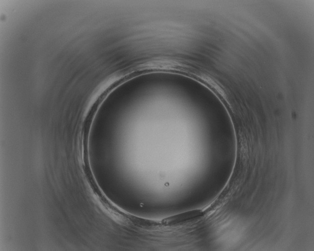 X0000073931131200608181107