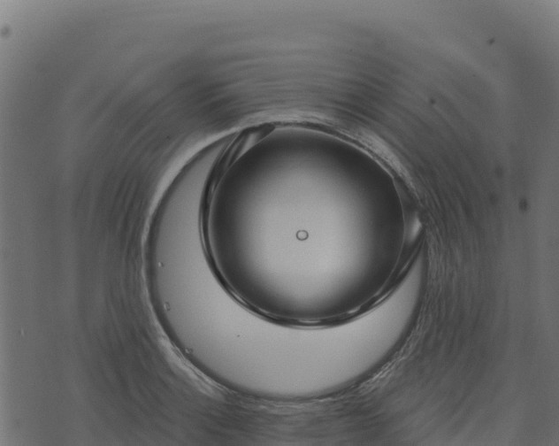 X0000073931132200608181107