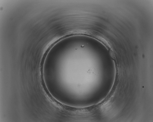 X0000073931133200608181107