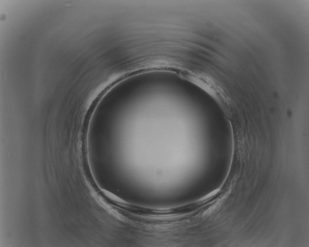 X0000073931134200608181108