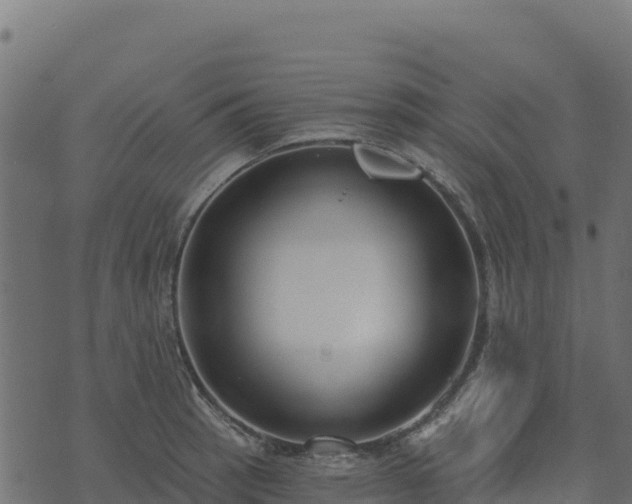 X0000073931137200608181108