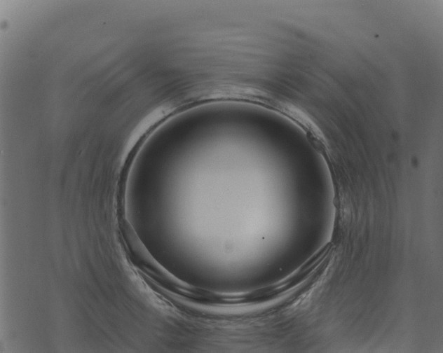 X0000073931138200608181108