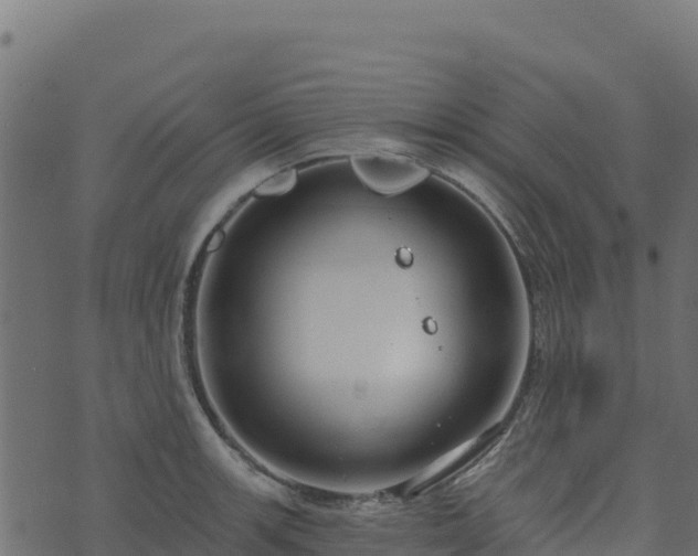 X0000073931139200608181108