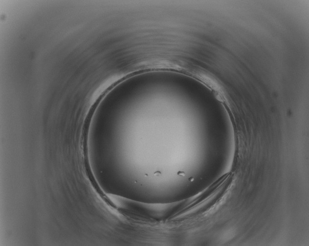 X0000073931141200608181108