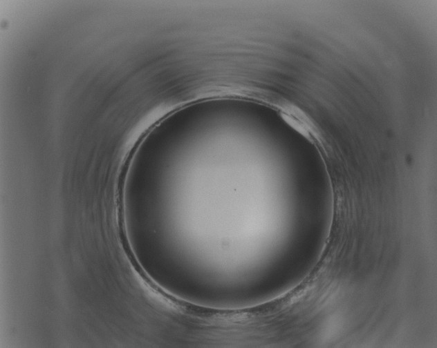 X0000073931143200608181108