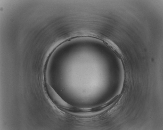 X0000073931144200608181108