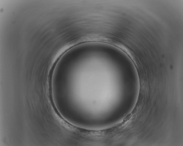 X0000073931147200608181108