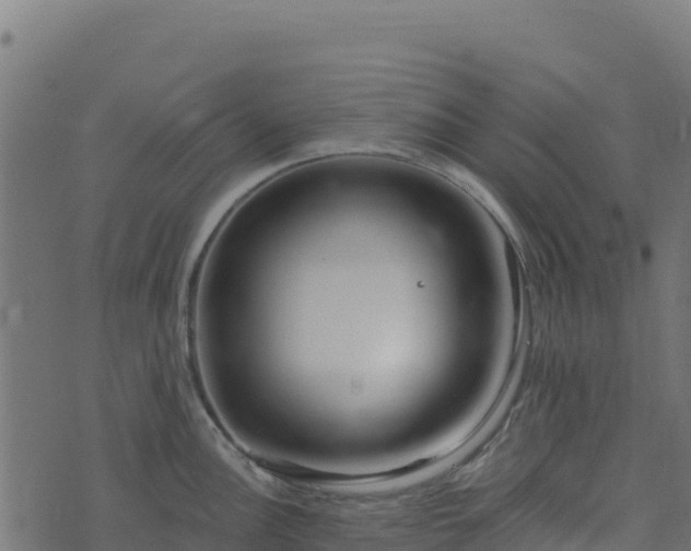 X0000073931148200608181108