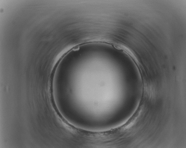 X0000073931149200608181108