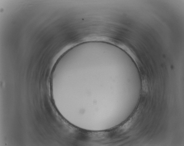 X0000073931150200608181108