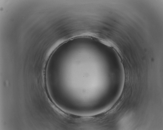 X0000073931151200608181108