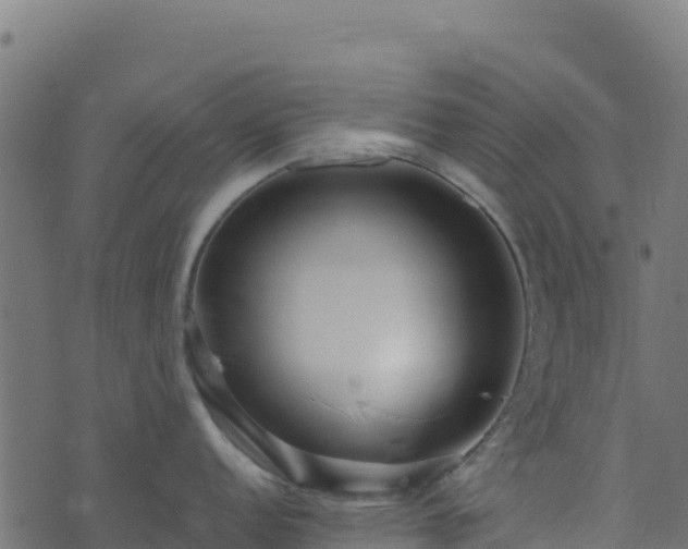 X0000073931152200608181108