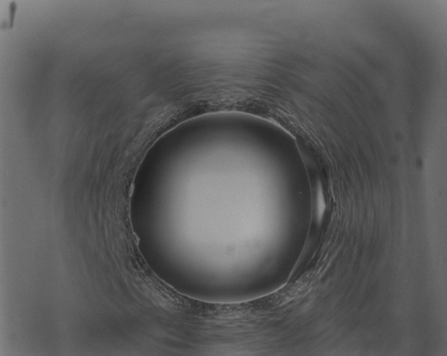 X0000073931153200608181107