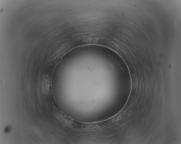 X0000073931154200608181107