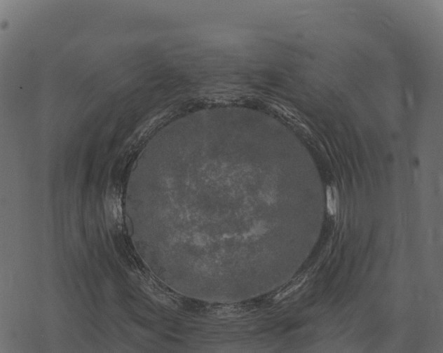 X0000073931155200608181107