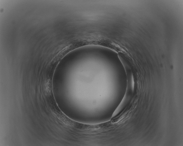 X0000073931156200608181107