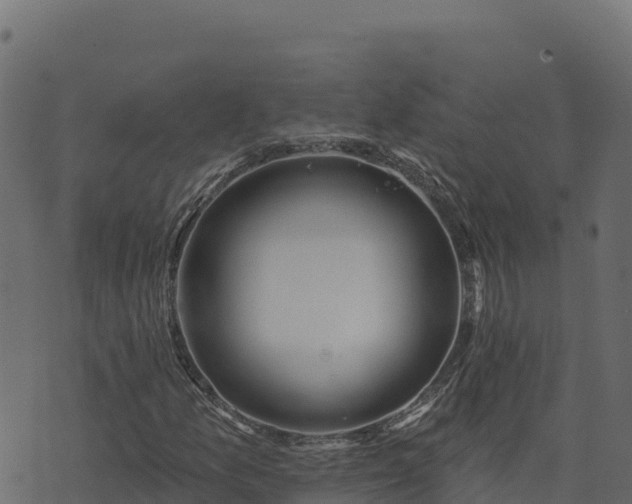 X0000073931157200608181107