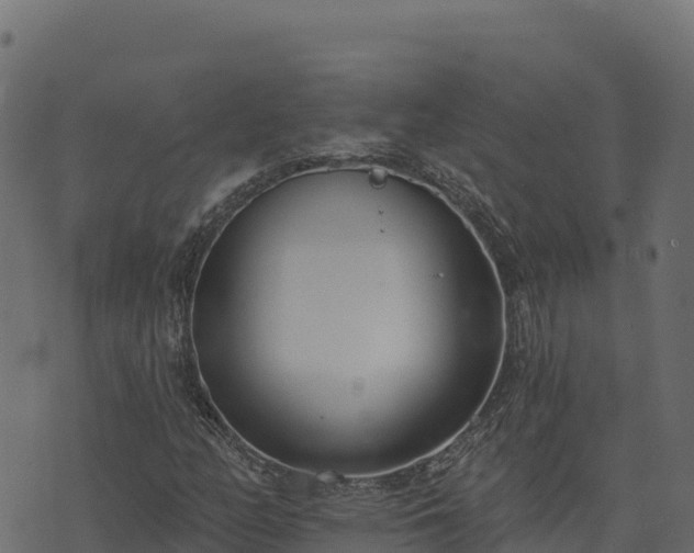 X0000073931158200608181107