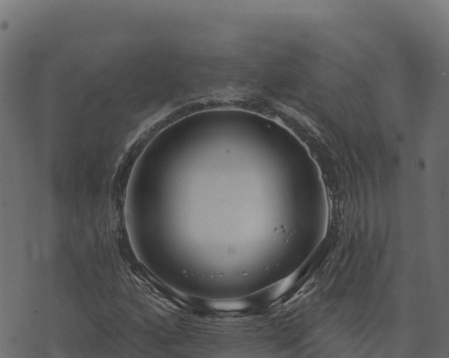 X0000073931160200608181107