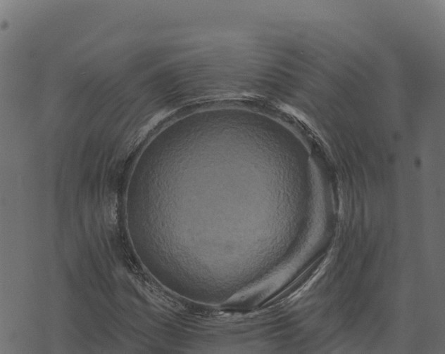 X0000073931161200608181107