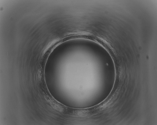 X0000073931163200608181107