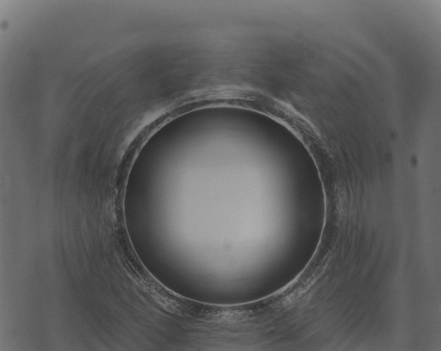 X0000073931166200608181107