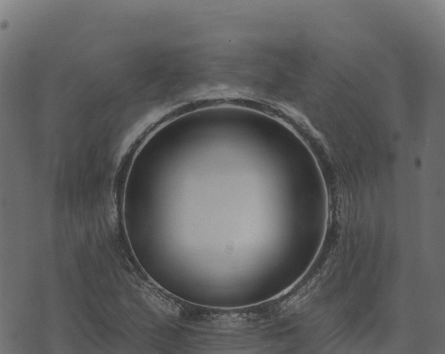 X0000073931167200608181107