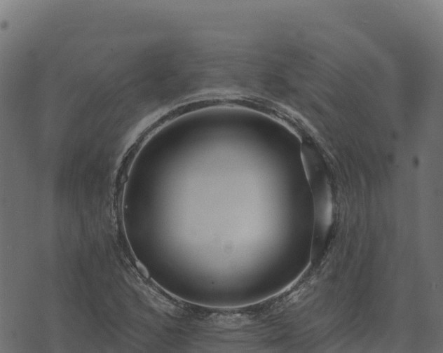 X0000073931168200608181107