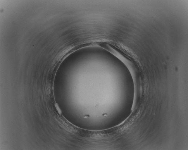 X0000073931169200608181107