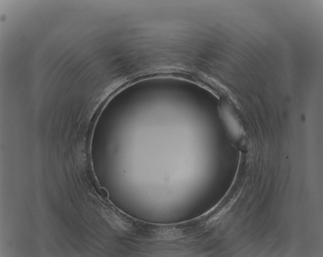 X0000073931170200608181107