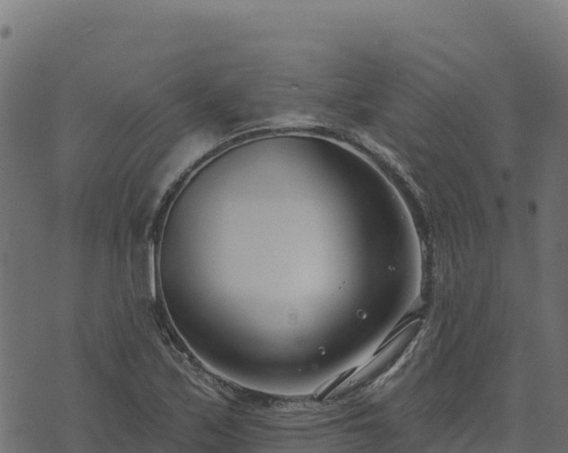 X0000073931171200608181107