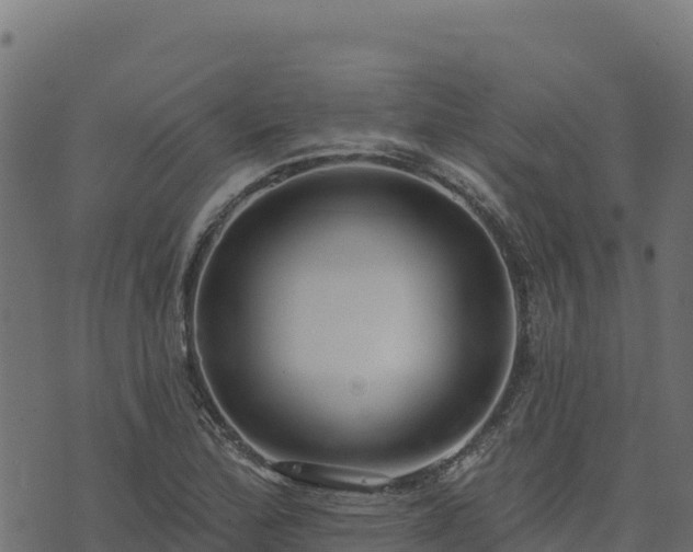 X0000073931172200608181107