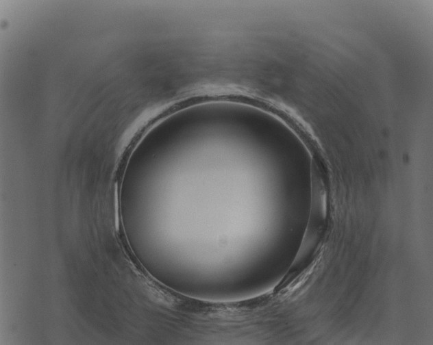 X0000073931175200608181107