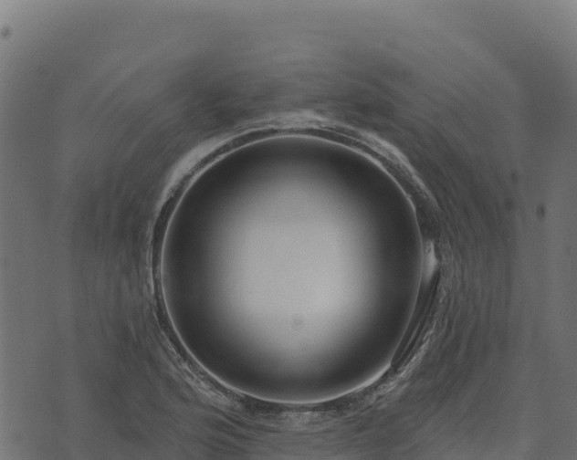 X0000073931176200608181107