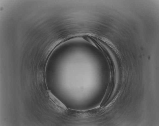 X0000073931177200608181107