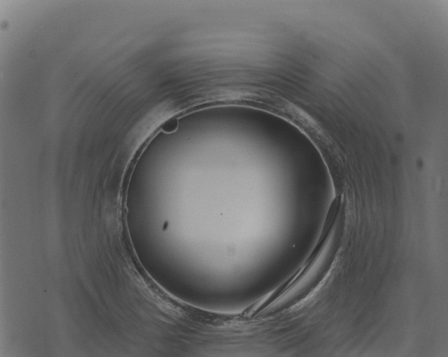 X0000073931178200608181107