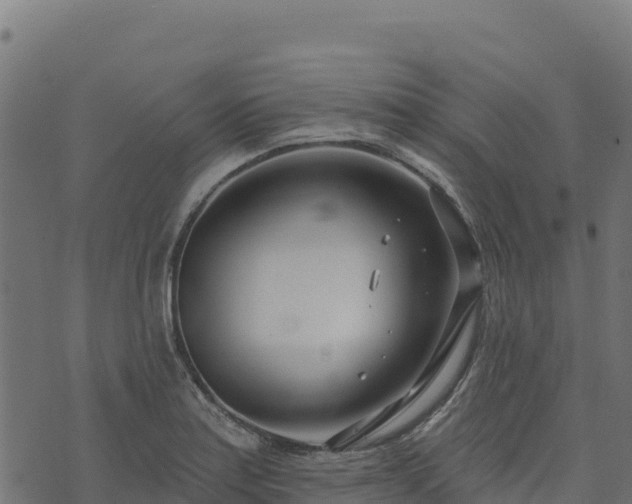 X0000073931179200608181106