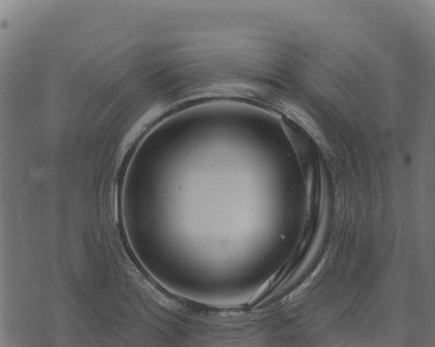 X0000073931180200608181106