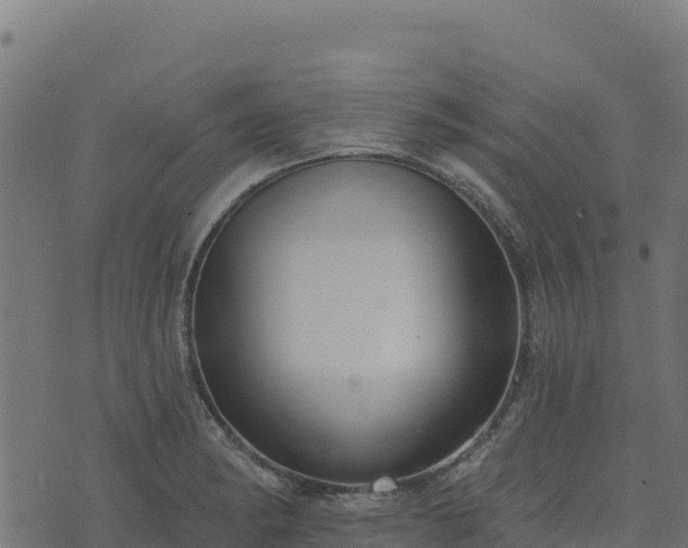 X0000073931182200608181106