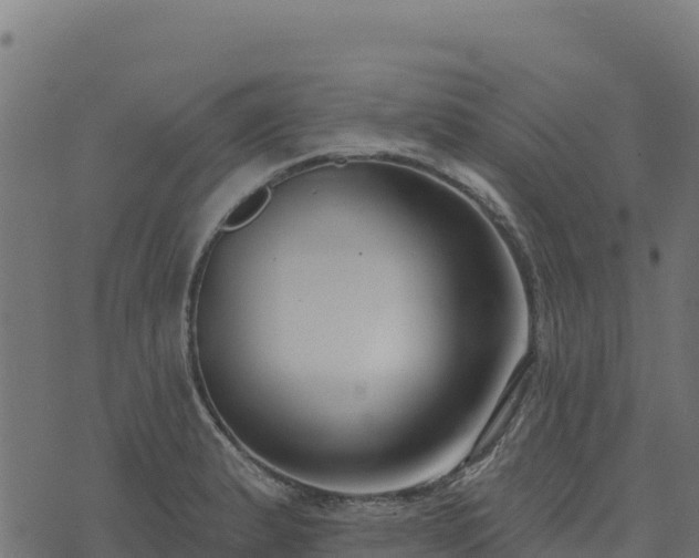 X0000073931183200608181106